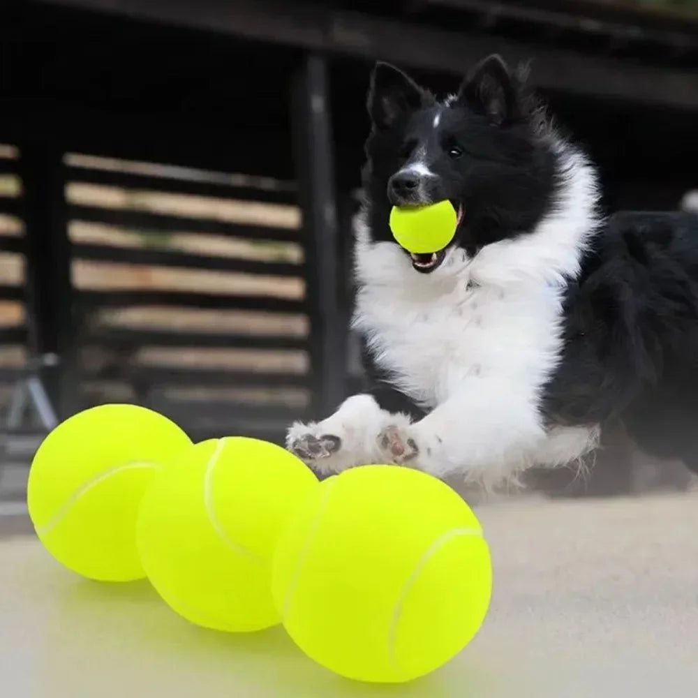 Bola de tênis - jogo / brinquedo / cachorro